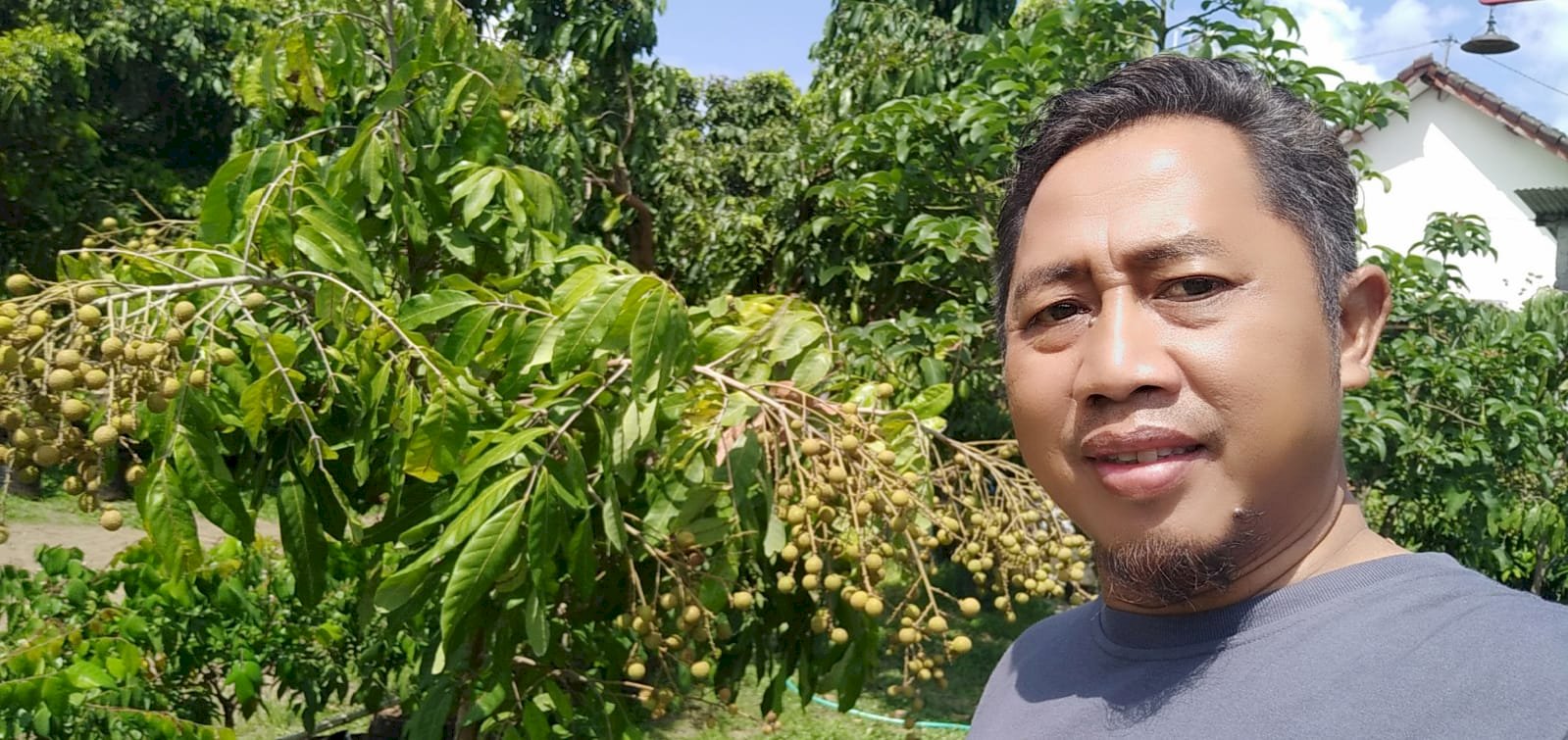 Panen Perdana Di Kebun Buah Di Desa Kebonalas Manisrenggo Klaten