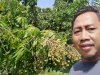 Panen Perdana di Kebun Buah di Desa Kebonalas, Manisrenggo, Klaten.