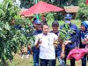 Plt. Camat Manisrenggo Panen Buah Perdana di Kebun Milik Desa Kebonalas