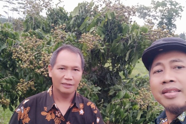Destinasi Wisata Kebun Buah di Desa Kebonalas, Manisrenggo, Klaten.