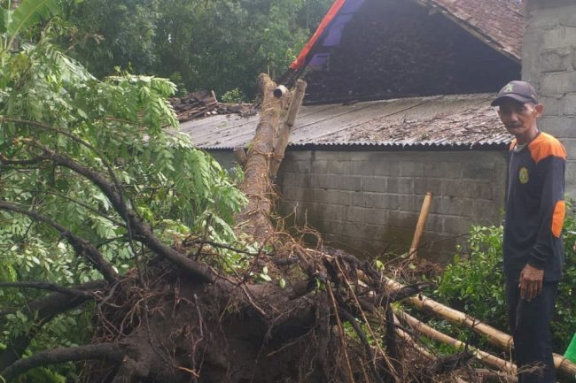 Relawan Manisrenggo Bahu Membahu dalam Tanggap Bencana