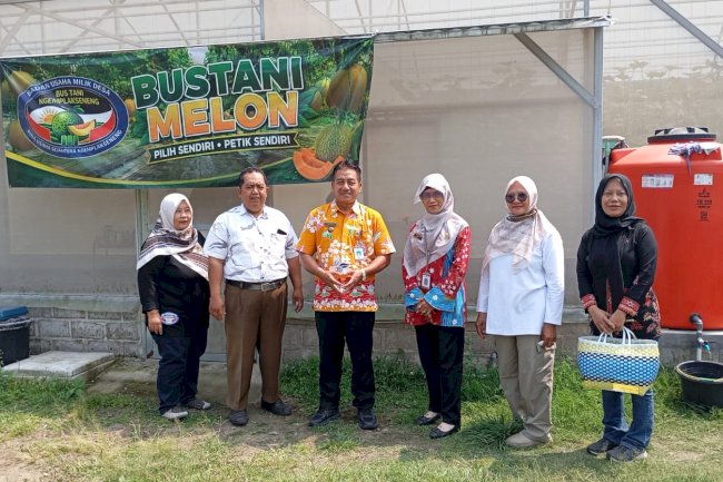 Pengembangan Melon "Bustani Melon" Desa Ngemplakseneng, Kecamatan Manisrenggo