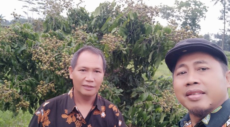 Destinasi Wisata Kebun Buah di Desa Kebonalas, Manisrenggo, Klaten.