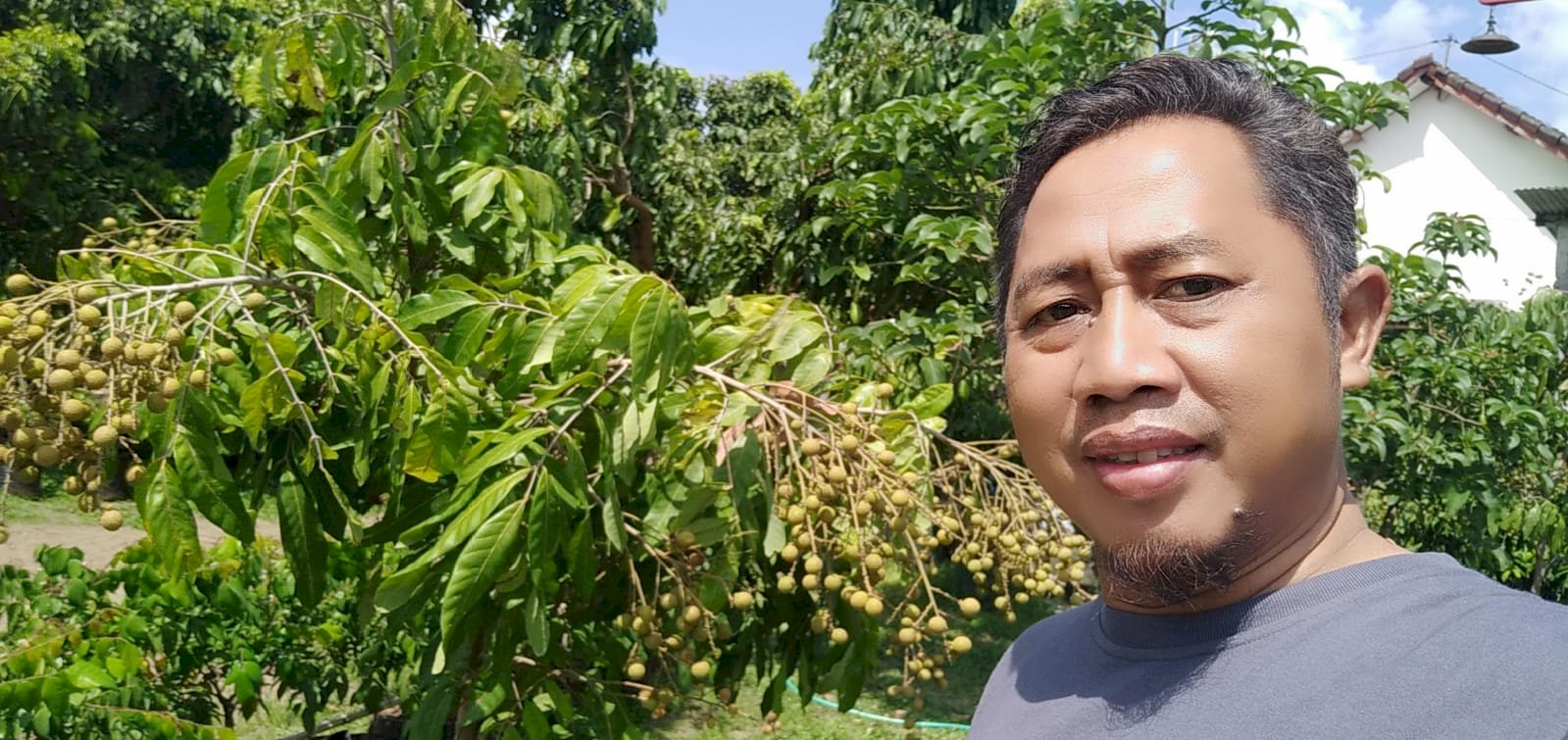 Panen Perdana di Kebun Buah di Desa Kebonalas, Manisrenggo, Klaten.