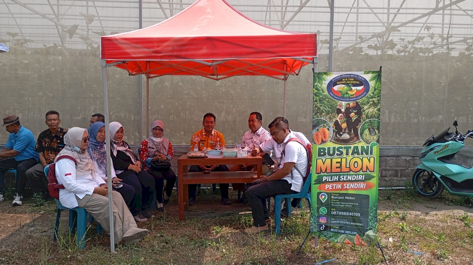 Pengembangan Melon "Bustani Melon" Desa Ngemplakseneng, Kecamatan Manisrenggo